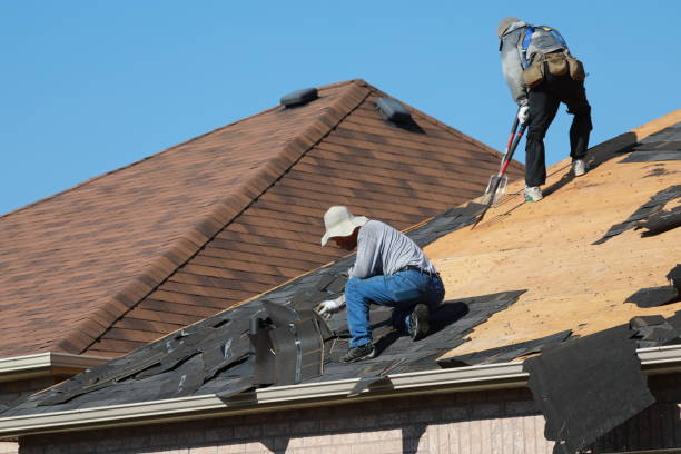 Best Emergency Roof Repair Services  in Lumbine, CO