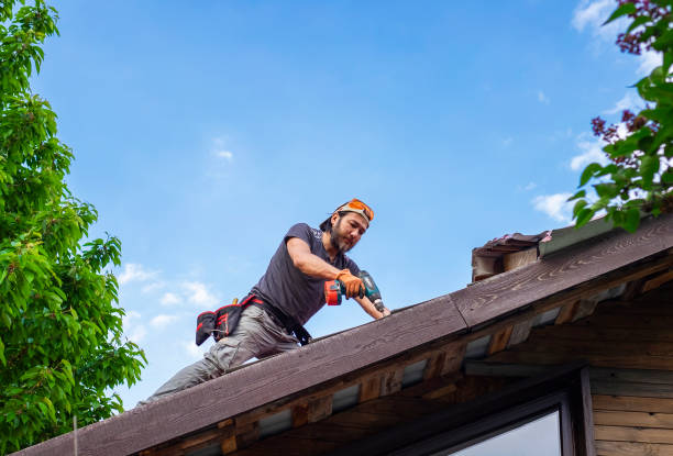 Best Asphalt Shingle Roofing  in Lumbine, CO